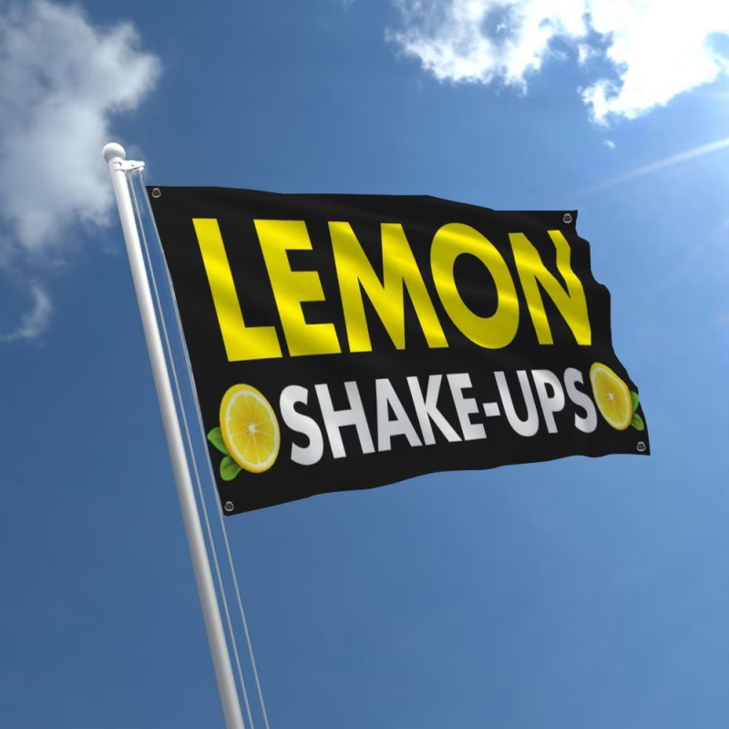 Custom Banner Flags Suitable F - Auto Repair Shop Logo recension och pris